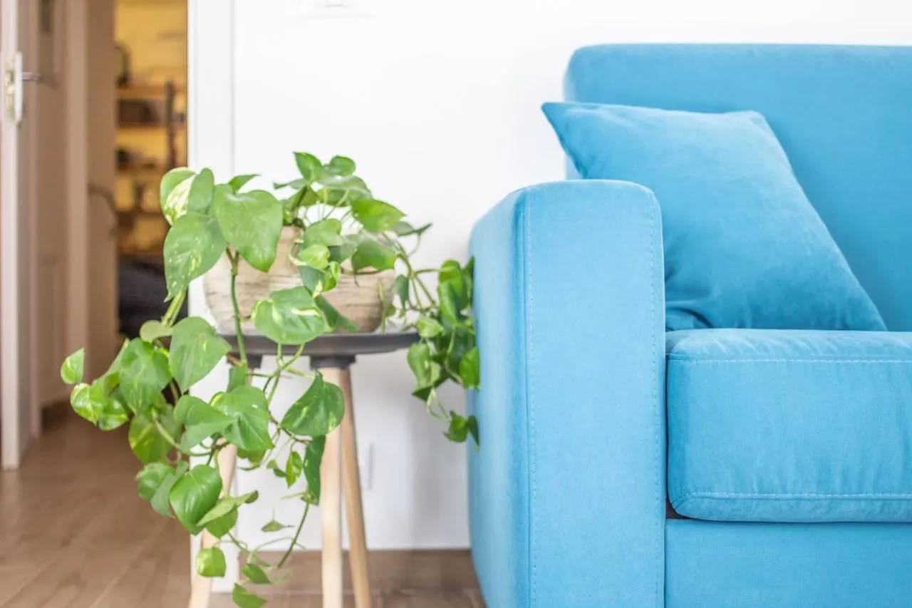 Bed and Breakfast Palazzo Ragusi - locazioni turistiche Palermo Bed & Breakfast